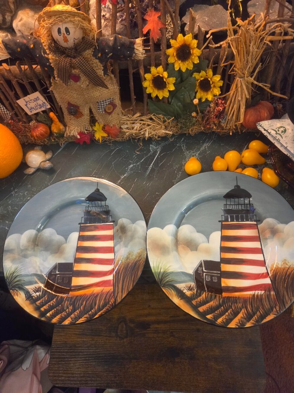 2 Plates LIGHT HOUSE Micro dishwasher safe! Vintage Collectable !! $15